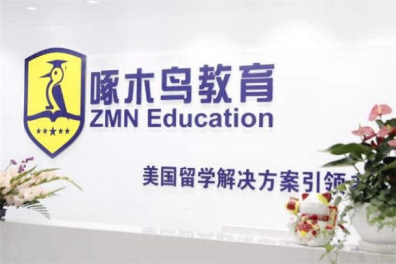 啄木鸟教育加盟