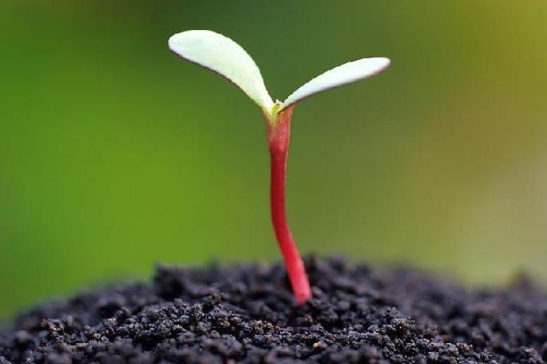 好大学在线加盟