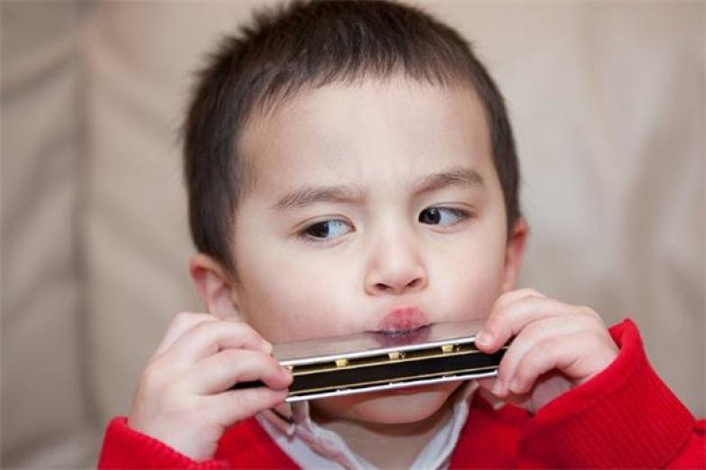 布鲁斯口琴加盟