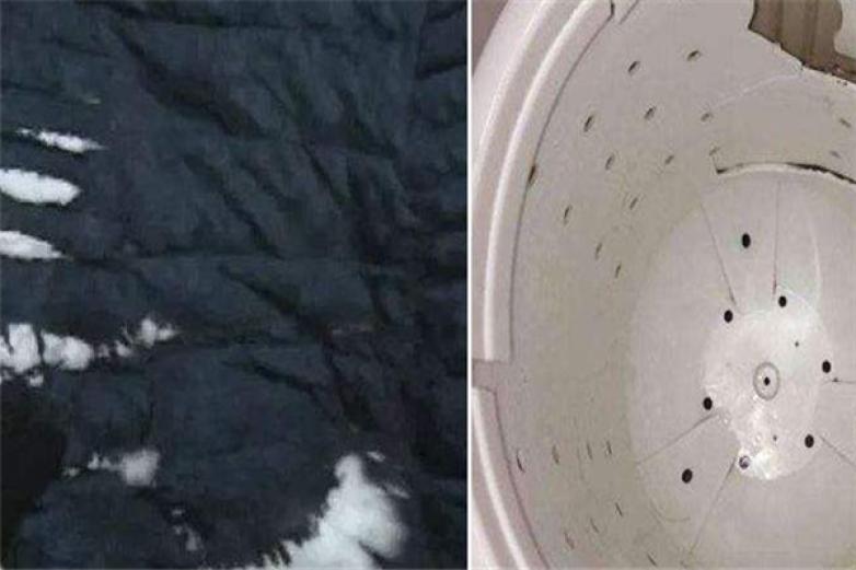 泰利干洗加盟