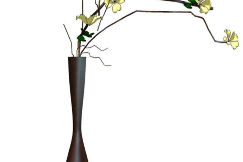 金铃花加盟