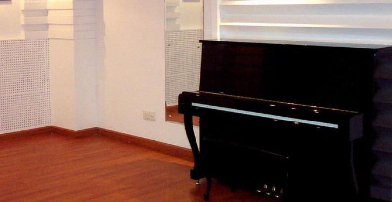 辛巴星钢琴加盟