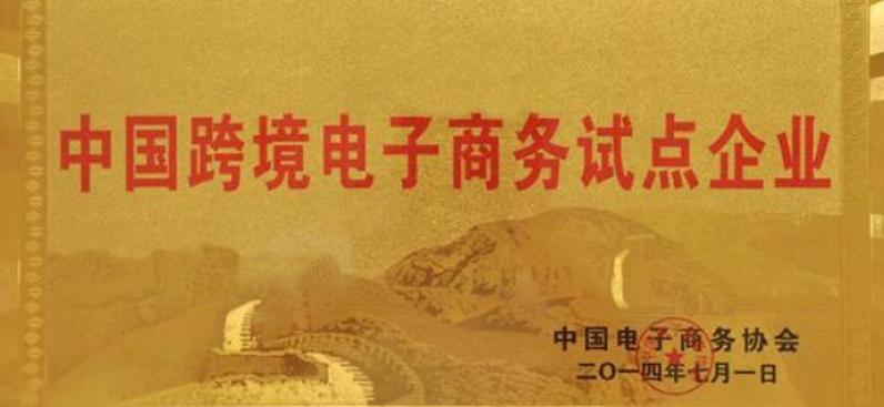 国际电子商务师加盟