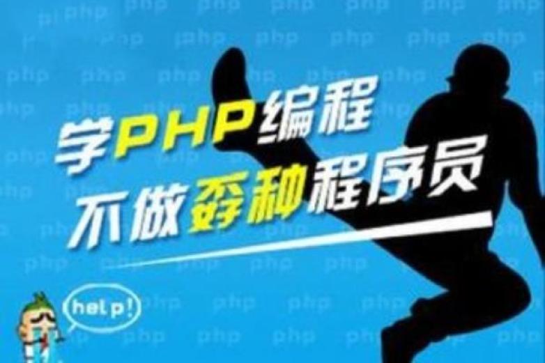 金动力教育加盟