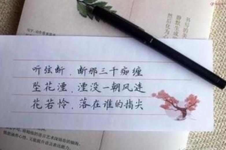 朱春晖练字加盟