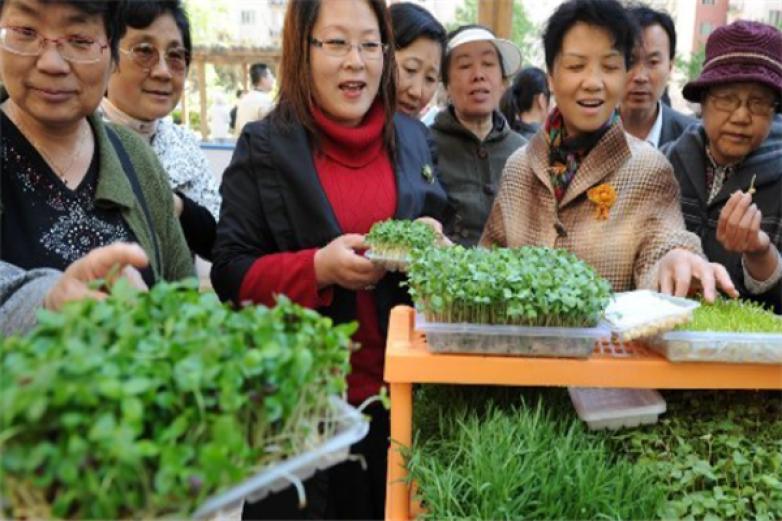 绿山谷芽菜加盟