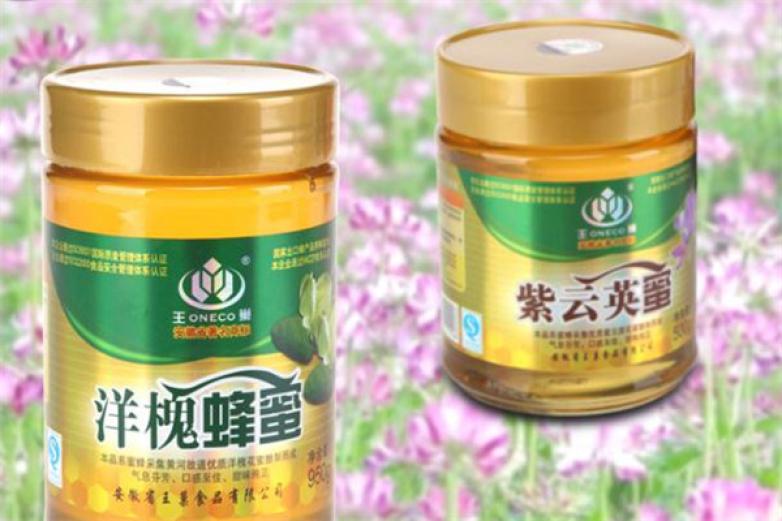 王巢蜂蜜加盟