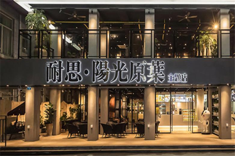 耐思阳光原叶加盟