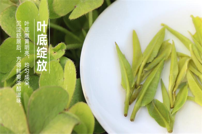抱儿钟秀加盟