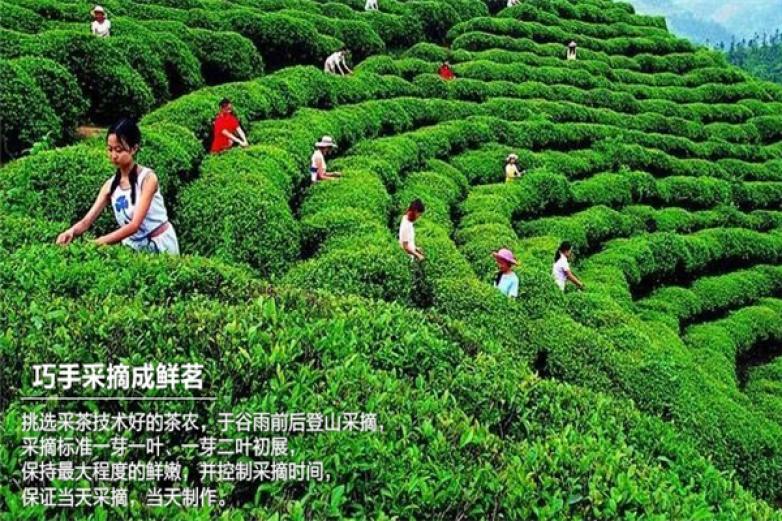 抱儿钟秀加盟