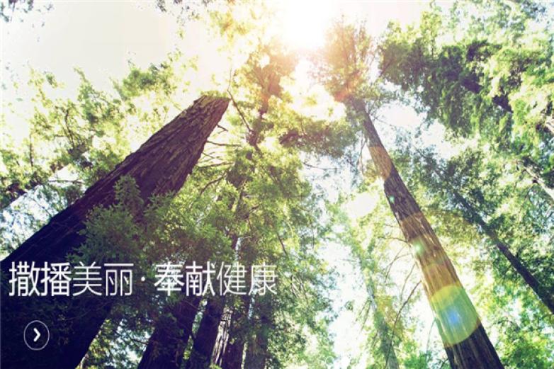 尚赫化妆品加盟