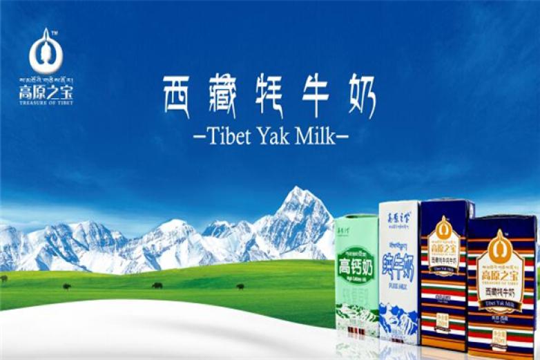 高原之宝乳品加盟