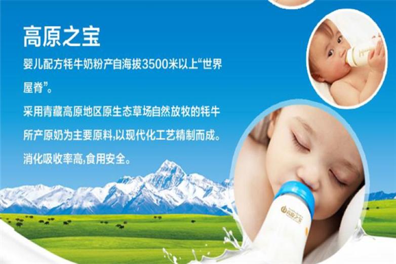 高原之宝乳品加盟